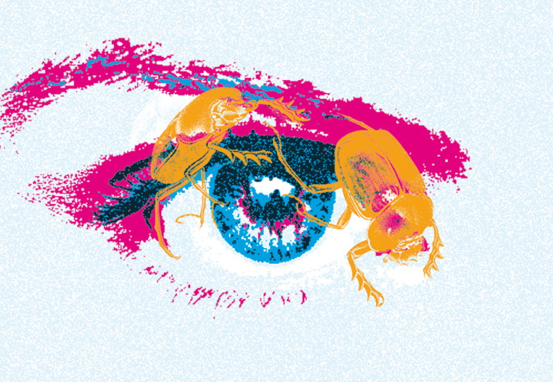 folien_augen_01_2.jpg