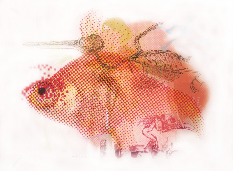 raster_fisch_2.jpg