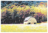 folien_landscapes_02.jpg