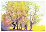 folien_landscapes_04.jpg