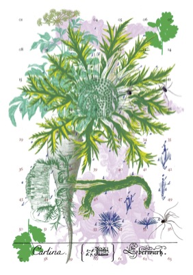 Loading Image